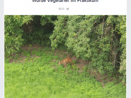 Vegetarier im Praktikum